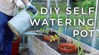 DIY SelfWatering Pot for the Garden Olla Update [upl. by Wager]