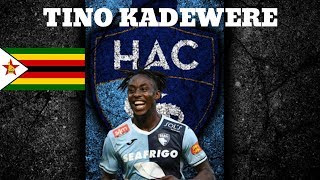 Tino Kadewere ● Goals amp Assists ● 20192020 ● [upl. by Boony692]