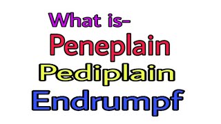 What are Peneplain Pediplain and Endrumpf Hindi and English [upl. by Ettenahc798]