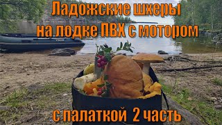 Ладожские шхеры на лодке ПВХ с мотором Грибы Рыба Ягода Ladoga PVC motor boat Mushrooms Fish Berry [upl. by Nylednarb705]