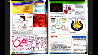 3 AC SVT les échanges de gaz respiratoire au niveau des poumons Partie 2 [upl. by Lydia]