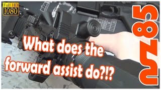 AR15  Forward Assist and What Its For [upl. by Greggs600]