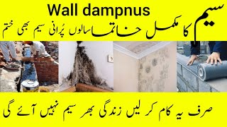 wall dampness treatment  damp wall [upl. by Salba164]