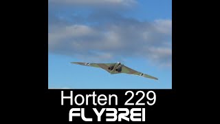 Horten HO 229 Kurzvideo Shorts [upl. by Nyleikcaj646]