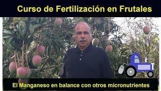 El Manganeso un micronutriente para las plantas Curso de Fertilización en Frutales [upl. by Bryce]