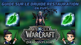 TOUT CE QUE VOUS AVEZ TOUJOURS VOULU SAVOIR SUR LE DRUIDE RESTAURATION EN PVP GUIDE DRAGONFLIGHT [upl. by Auburn552]