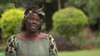 Wangari Maathai amp The Green Belt Movement [upl. by Naicul631]