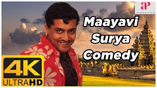 Surya Super Comedy Scenes  Maayavi Movie Comedy Scenes  Surya  Jyothika  Sathyan  Maayavi Movie [upl. by Dygal]