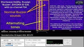 Shortwave Numbers  Oddities station the Russian Buzzer and FSK 4625 kHz 30 Aug 2024 1813 UTC [upl. by Kery639]