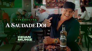 Ceian Muniz  A Saudade Dói Videoclipe Oficial BregaDeLuxo2 [upl. by Keeler128]