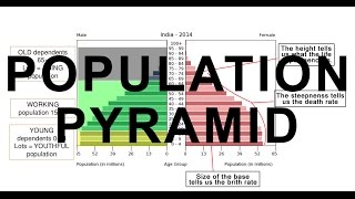 Population Ecology [upl. by Powder]