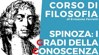 Spinoza i gradi della conoscenza [upl. by Aianat411]