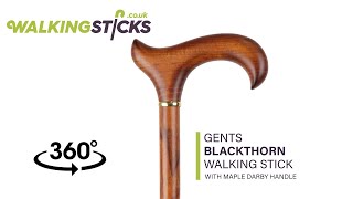 Gents Blackthorn Walking Stick with Maple Derby Handle [upl. by Katlin]