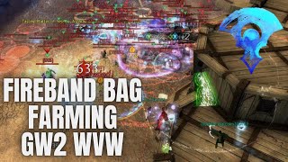 Unleashing Bag Farming Firebrand in Massive Zerg Fight GW2 WvW 2023 [upl. by Tingley996]