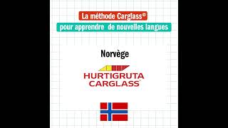 Les slogans Carglass du monde entier  Carglass [upl. by Adnawed]