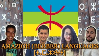 Can Amazighs Understand Each Other [upl. by Ree]