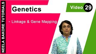 Genetics  Principles of Inheritance amp Variations  NEET  Linkage amp Gene Mapping  Neela Bakore [upl. by Hauser342]