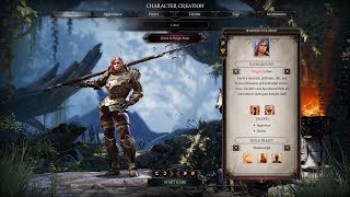 Divinity Original Sin 2  InDepth Look At Character Creation [upl. by Acie]