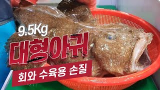 95KG 대형 아귀 특대 아귀 손질법과 회 수육 만드는 방법 대공개 How to clean Monkfish or Anglerfish 수아아빠TV [upl. by Thirzia122]