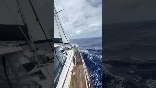 we turned around because i forgot tabasco hawaii pacific sailboat boat sailing [upl. by Adebayo]