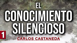 EL CONOCIMIENTO SILENCIOSO  C Castaneda  Parte 1  Audiolibro completo  Español voz humana [upl. by Adne168]