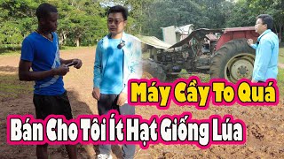 Người Angola Châu Phi đang tự trồng lúa như thế nào2Q vlogs cuộc sống châu phi [upl. by Eicram657]