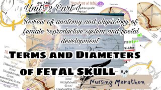 Unit  2  Part  L  OBG  Diameters of fetal skull 💀  Terms and Diameters  nmsquad🖤 [upl. by Nayrb405]