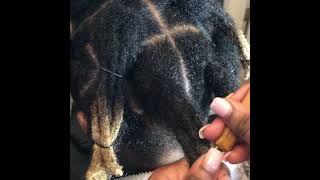 KodakKnots How to combine traditional Locs into Wicks [upl. by Ostraw]