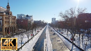 WALK NEVADA CALLE SERRANO LA CASTELLANA  MADRID  ESPAÑA🇪🇸 FILOMENA DIA 5 [upl. by Even]