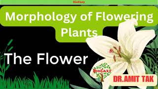 Morphology of Flowering Plants  The Flower  Parts of Flower  Aestivation  TepalPerianthamitsir [upl. by Edla313]