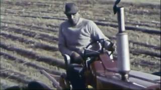 International Harvester Plow Mulcher Sales Movie [upl. by Nilrak]