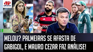 quotPra mim o Gabigol NÃO ASSINOU com o Palmeiras porquequot Mauro Cezar FALA sobre o 99 do Flamengo [upl. by Finbar]