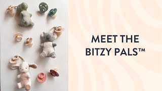 Meet The Bitzy Pals™ [upl. by Arodasi]