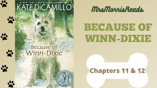 BECAUSE OF WINNDIXIE Chapters 11 amp 12 Read Aloud [upl. by Aiyram]