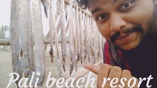 Pali Beach Resort and Water Park At Uttan  Bhayander  kk vlogs [upl. by Thunell]