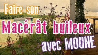 Macérât huileux au calendula  souci  la recette de Moune [upl. by Carny817]