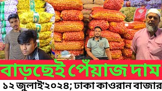 আজও বাড়লো পেঁয়াজের দাম12072024আলু আদা রসুনের পাইকারি দাম কত Onion Market at Kawran Bazar in BD [upl. by Ellerey]