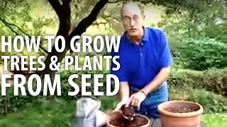 How To Grow Plants amp Trees From Seed  The Dirt Doctor [upl. by Ariik]