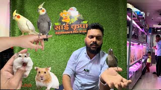 Sai kurpa Aqurium and pet shop petshop aquarium viral bharat [upl. by Parhe]