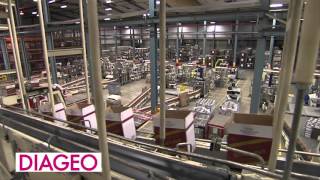 Diageo Excellence In Manufacturing Finalist [upl. by Innek]