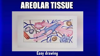 How to draw areolar tissue easily connective tissue easy drawing [upl. by Ades]