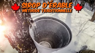 Fabrication de Sirop dÉrable  Petite Production Traditionelle [upl. by Akkahs788]