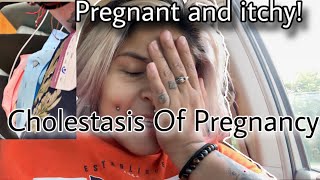 Cholestasis of Pregnancy AGAIN My Shocking VLOG [upl. by Iong]