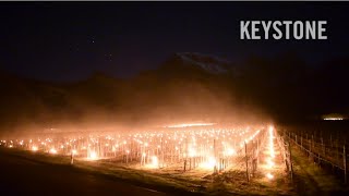 Mystischer Anblick Winzer bekämpfen Frost mit Feuer  Fläsch  Frostkerzen  Graubünden  Wein [upl. by Proulx]