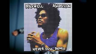 Maxwell  Ascension Never Dull Remix [upl. by Ernestine]