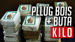 Pllug Bois Buta  Kilo instr Claic [upl. by Nhguavahs]