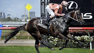 Flemington Racing Preview G1 Black Caviar Lightning Stakes Day 170524  Sky High Horse Racing [upl. by Honan]