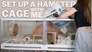 Set up a Hamster cage With Me [upl. by Mccourt]