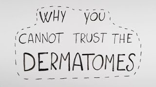 Why you cannot trust the dermatomes [upl. by Evers991]