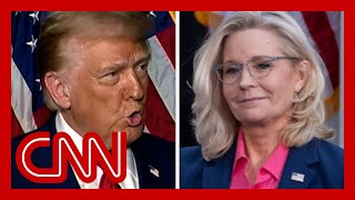 Liz Cheney blasted Trump at a Harris rally He responded on Fox News [upl. by Shetrit671]